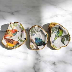 May include: Three decorative oyster shell dishes with gold rims. Each shell features a different colorful bird illustration with botanical details. The birds are perched on branches with leaves and berries, set against a white background.