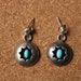 see more listings in the Earrings/Brooches/Misc. section