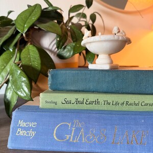 May include: A small white marble pedestal bowl sits atop a stack of three hardcover books. The top book is dark teal, the middle is green with the text Sea And Earth: The Life of Rachel Carson, and the bottom is blue with Maeve Binchy The Glass Lake.
