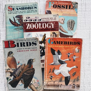 Puede incluir: Una colección de guías de la naturaleza ilustradas vintage con portadas coloridas. Los libros incluyen títulos como "Seashores", "Zoology", "Birds", "Gamebirds" y "Fossils".