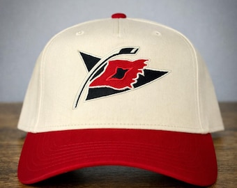Gorra snapback Otto con bandera de advertencia de tormenta de los Carolina Hurricanes, bastones de la NHL