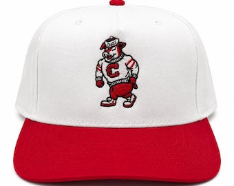 Carolina Hurricanes “Strutting Stormy” Otto White/Red Hat NHL Canes