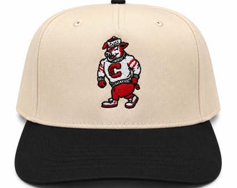 Carolina Hurricanes “Strutting Stormy” Otto Natural/Black Hat NHL Canes