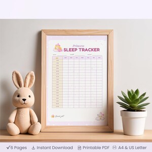 May include: A framed "Princess Sleep Tracker" chart with a light wood frame. The chart has a pink and white design with a princess graphic. A plush bunny and a potted succulent are on the shelf.