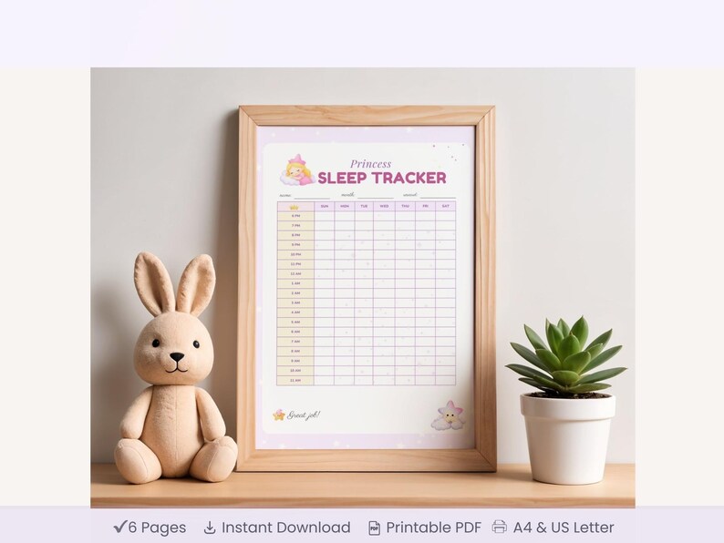 May include: A framed "Princess Sleep Tracker" chart with a light wood frame. The chart has a pink and white design with a princess graphic. A plush bunny and a potted succulent are on the shelf.