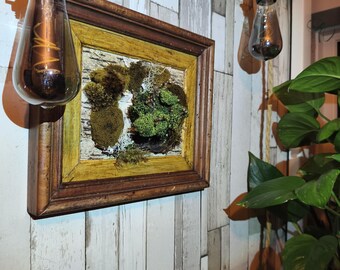Arte mural de musgo 3D hecho a mano