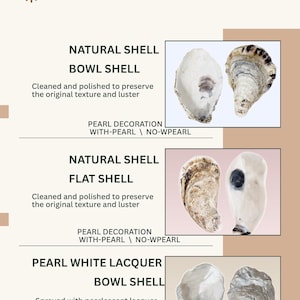 Muestra de tarjeta de mesa con diseño de concha de ostra / Pruébala antes de comprar / Tarjeta de mesa con caligrafía para bodas, decoración para bodas costeras
