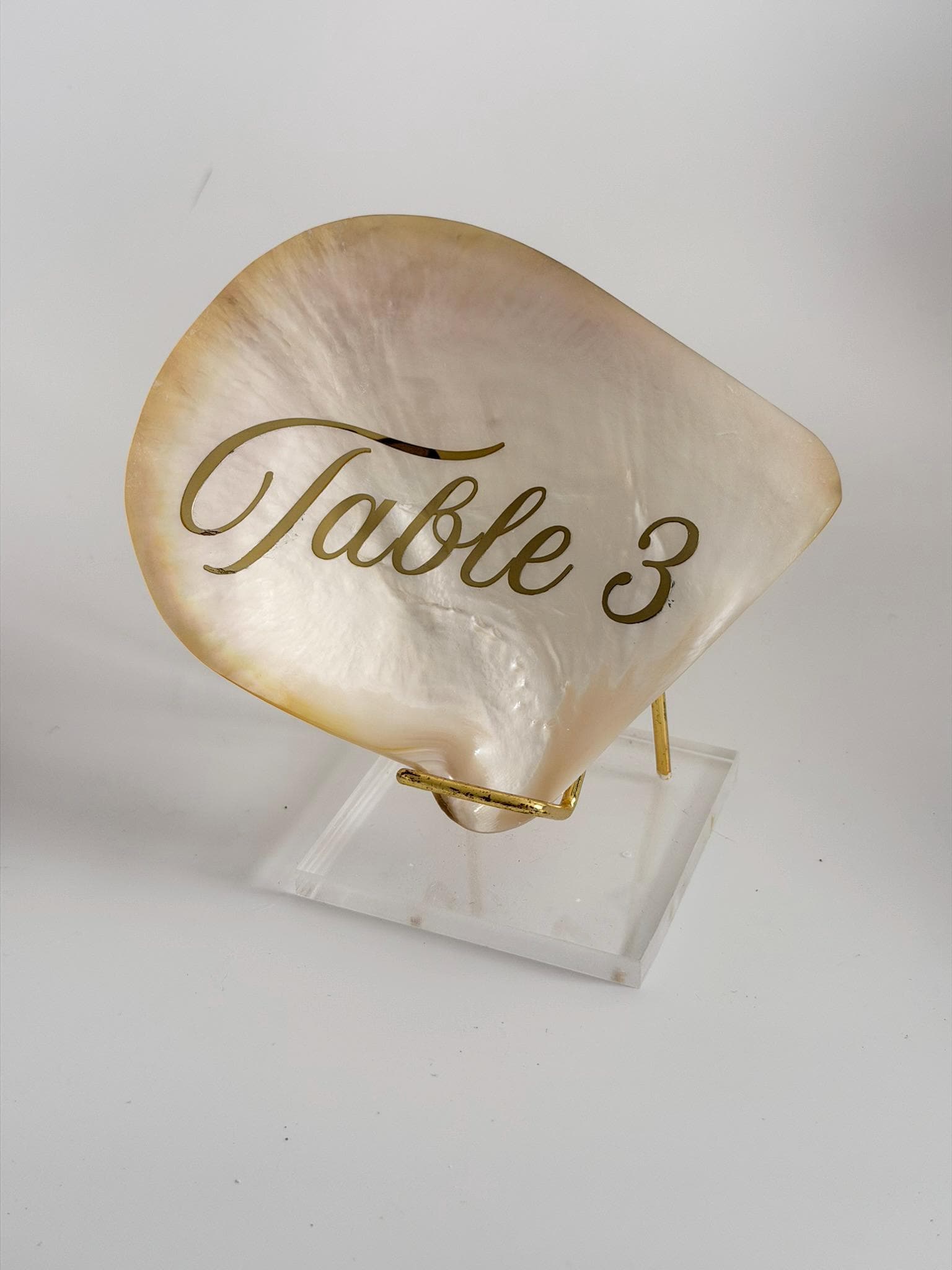 Shell Table Numbers
