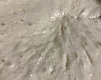 Live Active Starter | Fresh & Ready to Bake | Beginner Friendly | Fast Shipping