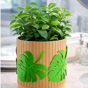Peut inclure: Une plante en pot avec des feuilles vertes vibrantes dans un pot de couleur beige. Le pot présente des détails côtelés verticaux et des accents en forme de feuilles vert vif. Le pot est sur un comptoir de couleur claire, avec un arrière-plan flou.
