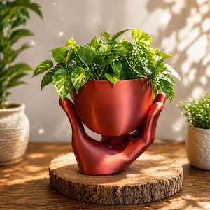 Può includere: Un vaso rosso a forma di mano che tiene una piccola pianta con foglie verdi e gialle. Il vaso poggia su una fetta di legno, con altre piante sullo sfondo. Il tema è l'arredamento della casa.
