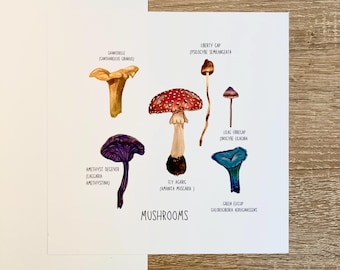 Mushrooms Art Print, Original Art Mushroom Painting