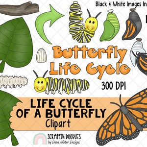 Life Cycle Clip Art - Butterfly Life Cycle Clip Art - Chrysalis ClipArt - Larvae ClipArt - Butterfly Chrysalis ClipArt - Insect ClipArt