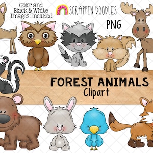 Imágenes Prediseñadas de animales del bosque - Oso pardo del bosque - Alce - Mapache - Zorro PNG - Uso comercial