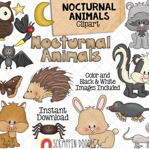 Nachtdieren ClipArt - Stekelvarken - Nachtvlinder - Mol - Skunk - Commercieel gebruik