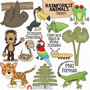 Regenwald ClipArt - Habitat - Faultier - Jaguar - Tukan - Rotaugenlaubfrosch - Iguana - Orang-Utan