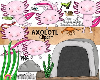 Axolotl ClipArt - Salamander - Amfibie - Kommersiellt bruk - Sublimeringsgrafik - Handritad PNG