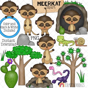 ClipArt De Suricatas - Habitat - Meerkat Fofo - Ambiente Deserto - Lagarto - Escorpião - Cacto - Joshua Tree - Caracol - CU PNG