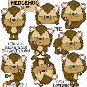 Hedgehog ClipArt - Cute Hedgehogs Posing Graphics - Card Making - Digital Paper Crafts - Commercial Use - PNG