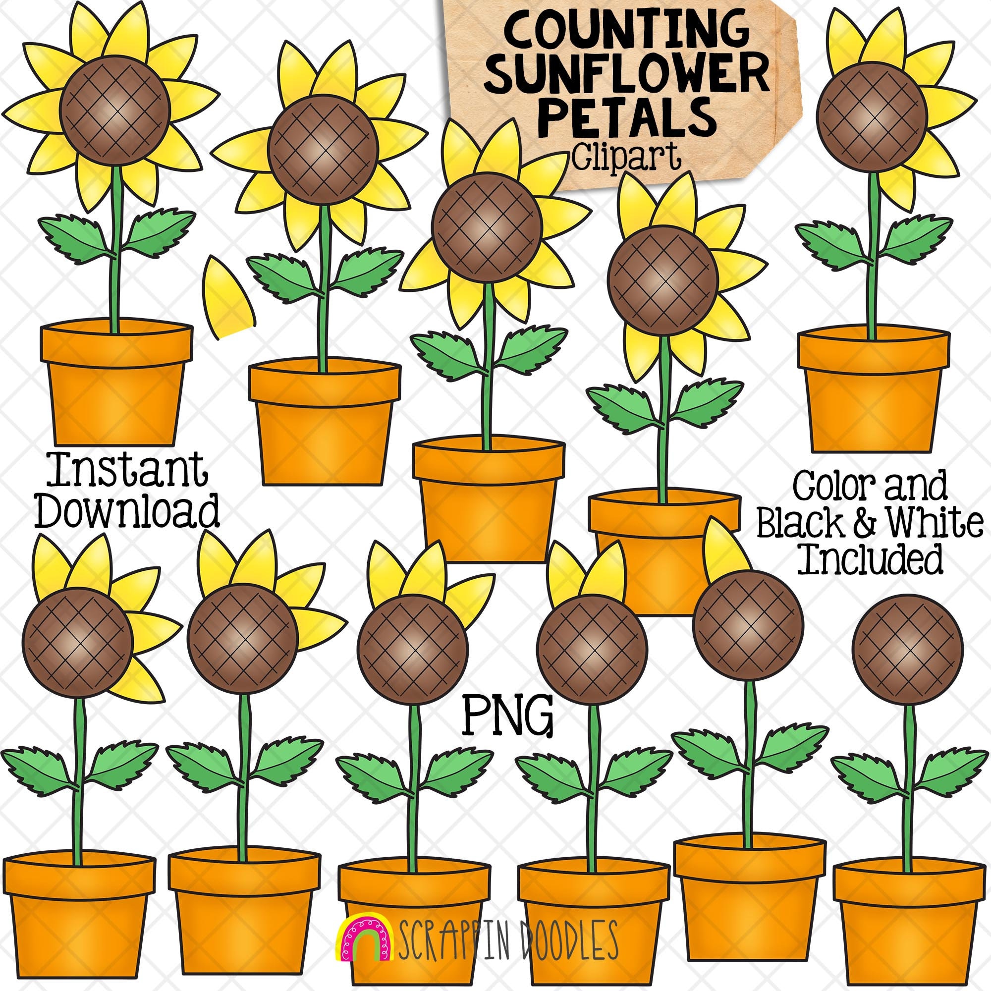 Autumn Counting Clipart Bundle - Sunflowers - Acorns - Apples ...