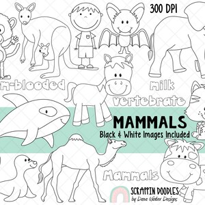 Puede incluir: Ilustraciones en blanco y negro de varios mam&iacute;feros, incluyendo un mono, un canguro, un humano, un murci&eacute;lago, un elefante, un caballo, un tigre, una ballena, una foca, un camello y una vaca. El texto "MAMMALS" est&aacute; escrito en letras grandes en la parte inferior de la imagen. El texto "warm-blooded" y "milk vertebrate" tambi&eacute;n est&aacute; incluido en la imagen.