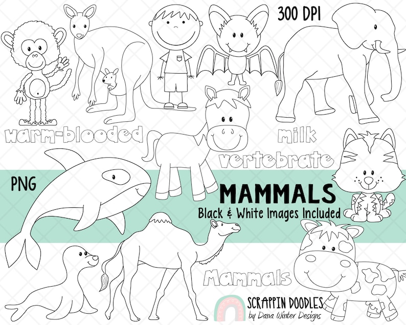 Puede incluir: Ilustraciones en blanco y negro de varios mam&iacute;feros, incluyendo un mono, un canguro, un humano, un murci&eacute;lago, un elefante, un caballo, un tigre, una ballena, una foca, un camello y una vaca. El texto "MAMMALS" est&aacute; escrito en letras grandes en la parte inferior de la imagen. El texto "warm-blooded" y "milk vertebrate" tambi&eacute;n est&aacute; incluido en la imagen.