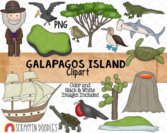 Galapagos Islands Clipart Charles Darwin Blue Footed Booby - Etsy Israel Galapagos Islands Clipart Charles Darwin Blue Footed Booby - Etsy Israel