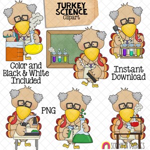 Dinde ClipArt - science clipart dindes - graphiques mignons dindes d'école - téléchargement immédiat - PNG dessiné à la main