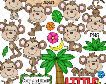 Clipart z małpką - Słodkie małe małpki - Zwierzęta dżungli - Banan - Siedzący - Huśtający się - Granica winorośli - Komercyjne wykorzystanie PNG Sublimacja