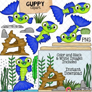 Guppy ClipArt - Guppies - Blauer Grass Guppy - Aquarienfische - Pflanzen - Dekor - Kies - Bubble Bar - Kommerzielle Nutzung - Grafiken - PNG
