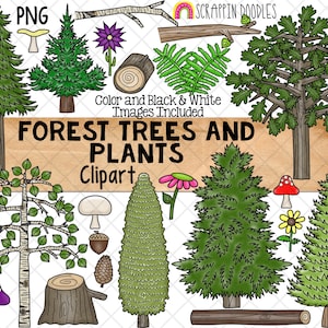 Forest Trees and Plants ClipArt - Birch Tree - Pine Tree - Cedar - Mushrooms - Woodlands -Logs - Commercial Use PNG