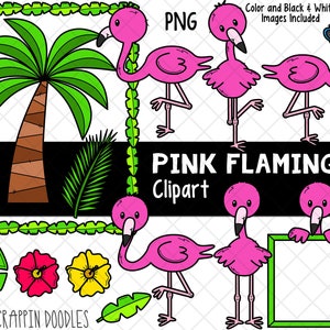 Flamant rose ClipArt - clipart flamant rose mignon - flamants roses - oiseau ClipArt - habitat flamant rose - graphisme - flamants roses posant