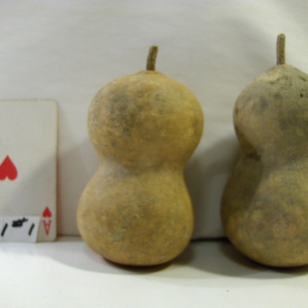 2 Baby Bottle Gourds dried & cleaned craft ready great to make christmas Santa or ornaments..1/1#1