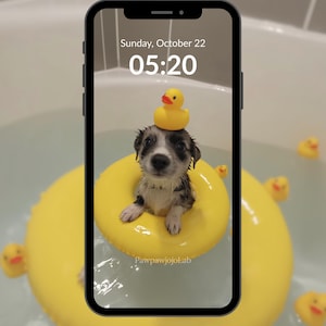 May include: A small puppy in a yellow inflatable ring in a bathtub, with a yellow rubber ducky on its head. The phone screen displays the date and time: Sunday, October 22, 05:20. Additional yellow rubber duckies float in the water.