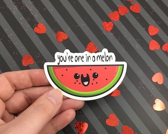 You’re One In a Melon Weatherproof Sticker/ Awesome Watermelon Stickers/ Adorable Fruit Mom Pun Decal Dad Jokes Vinyl/ Water Bottle Shaker