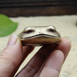 Może przedstawiać: Mała, brązowa figurka żaby. Żaba jest przedstawiona w zrelaksowanej pozie, z zamkniętymi oczami i lekkim uśmiechem. Brąz ma ciepłe, antyczne wykończenie. Figurka jest trzymana w dłoni.