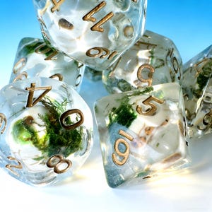 May include: A collection of clear, multi-sided dice with gold-colored numbers. Each die is filled with green and white organic material, creating a unique, natural aesthetic. The dice are arranged in a close-up shot against a gradient blue background.