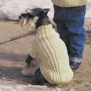 Può includere: Un cagnolino indossa un maglione lavorato a maglia color crema. Il maglione ha un design a coste sul davanti e sulle maniche. Il cane è nero e grigio con lunghi peli bianchi intorno al muso. Una persona con jeans blu e stivali neri è nelle vicinanze.