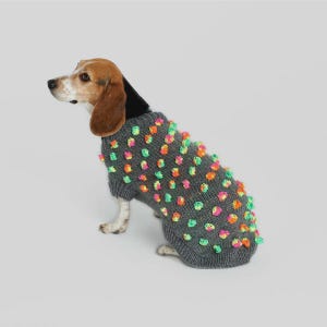 May include: A gray dog sweater with colorful pom-poms. The sweater is knit and covers the dog's torso and front legs. The pom-poms are in shades of orange, green, and pink. The dog is a beagle, with brown and white markings.
