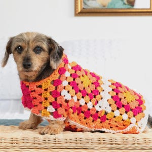 May include: A small dog wearing a vibrant, handmade crochet dog sweater. The sweater features a granny square design in shades of pink, orange, yellow, and white. The dog is sitting on a woven surface.