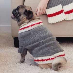 May include: A grey dog sweater with white and red stripes, worn by a pug. The sweater has a ribbed collar and cuffs. The dog is sitting on a white carpet.