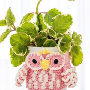 May include: A white ceramic flower pot with a pink crocheted owl cover. The owl has large black eyes, a yellow beak, and white and pink patterned feathers. The pot is filled with a green plant with white-edged leaves.