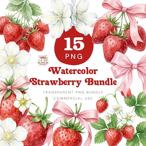 Może przedstawiać: Akwarelowa ilustracja dojrzałych czerwonych truskawek, białych kwiatów i różowych kokardek. Obraz zawiera tekst "15 PNG" i "Watercolor Strawberry Bundle". Projekt jest przeznaczony do przezroczystego użytku PNG.