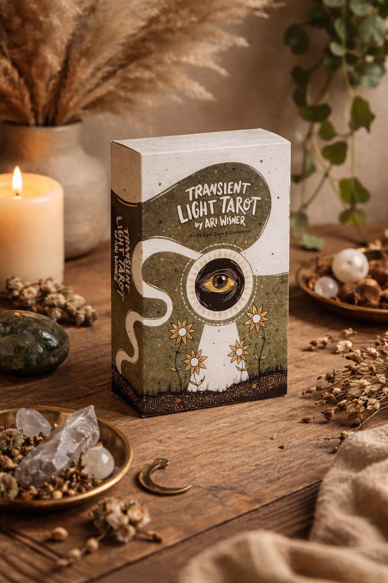 The Transient Light Tarot by Ari Wisner | 78 Card Indie Tarot Deck for ...