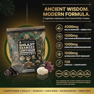 Complejo de musgo de mar Shilajit – Melena de león, Ashwagandha, Cordyceps – Energía, Inmunidad, Concentración imagen 2