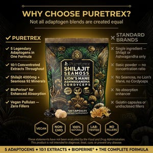 Complejo de musgo de mar Shilajit – Melena de león, Ashwagandha, Cordyceps – Energía, Inmunidad, Concentración imagen 5