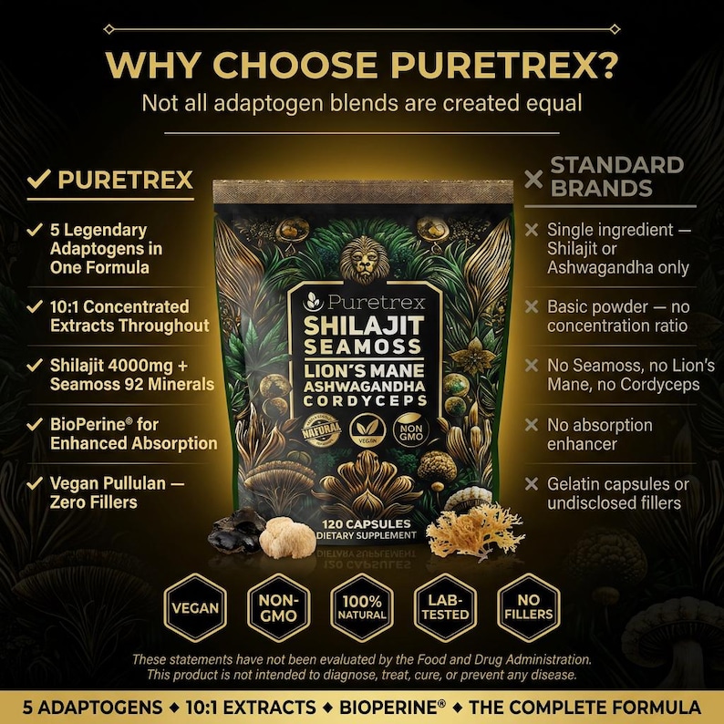 Complejo de musgo de mar Shilajit – Melena de león, Ashwagandha, Cordyceps – Energía, Inmunidad, Concentración imagen 5