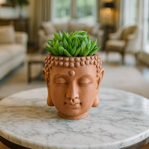 May include: A terracotta-colored Buddha head planter with a succulent plant. The planter has closed eyes and detailed facial features. The green succulent contrasts with the earthy tones of the planter. The planter is on a marble table.