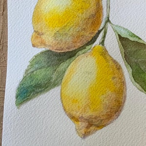 Hand painted realistic watercolour painting of lemons on Arches Cotton Paper