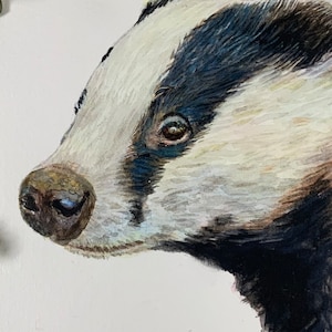 Può includere: Un dipinto ad acquerello dettagliato di un tasso di profilo, che mostra la sua caratteristica pelliccia nera, bianca e grigia. L'opera d'arte è ambientata su uno sfondo bianco, con un tralcio di foglie verdi che incornicia l'angolo in alto a sinistra.